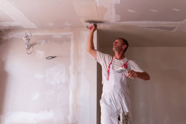 Best Drywall Installation  in Holiday, FL