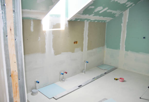 Best Drywall Sanding and Smoothing  in Holiday, FL